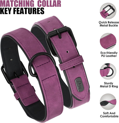 Didog Soft Padded Leather Dog Collar and Leash Set, Heavy Duty Dog Leash and Collar Set with Metal