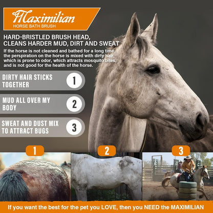 MAXIMILIAN World Class Handmade Equine Stiff Body Horse Brush. Professional Equine Grooming Tools.