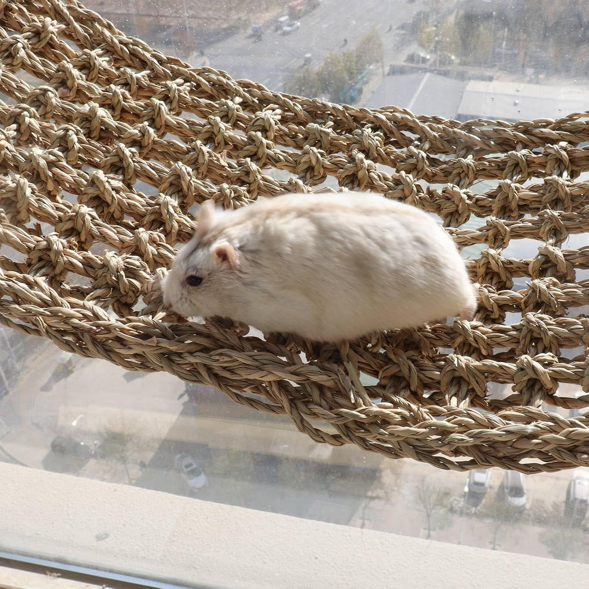 Rat Climbing Toys, 39 x 7 inch Small Animals Seagrass Mat Toy, Cat Climbing Toys, Natural Seagrass