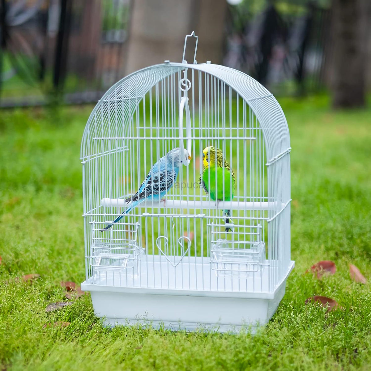 Small Bird Travel Cage - Lightweight Small Birds Starter Kit with Birdcages and Accessories Great