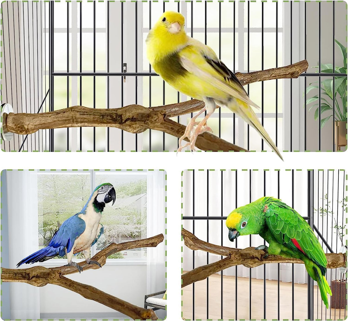 kathson Natural Parrot Perch Bird Stand Pole Wild Grape Stick Paw Grinding Fork Parakeet Climbing