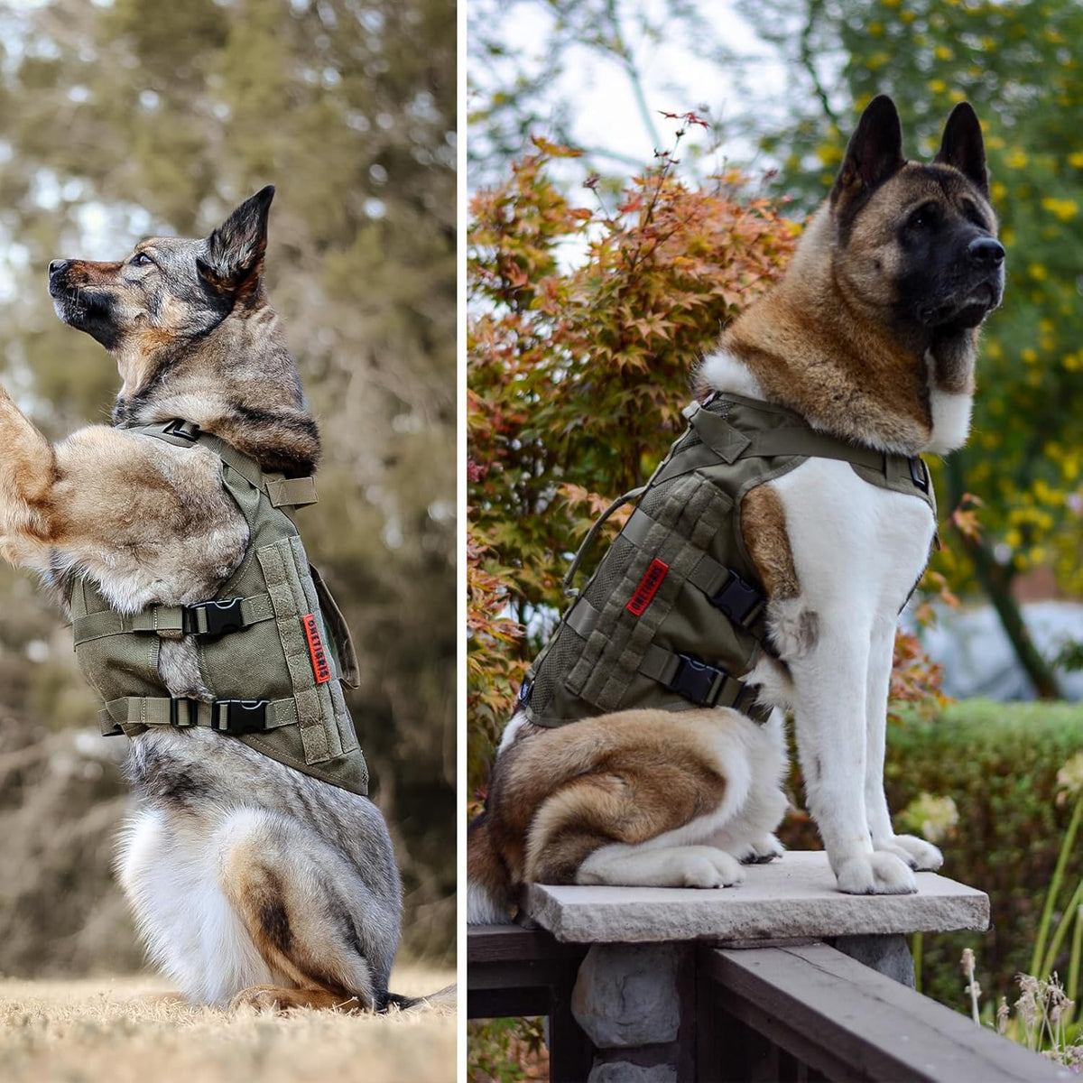 OneTigris No Pull Tactical Dog Mesh Harness for Medium Dogs, Aire Mesh Breathable Military Dog