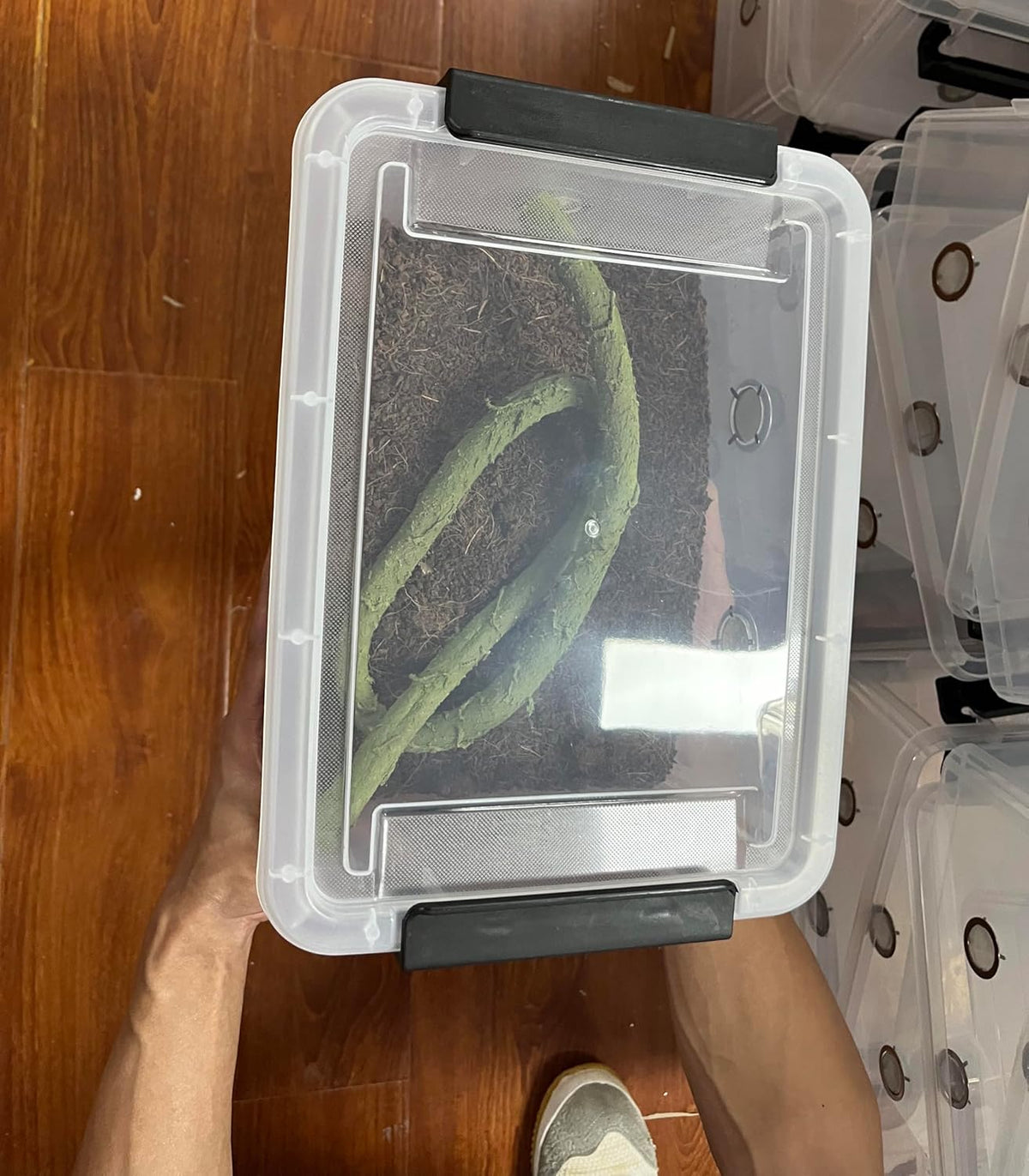 2pcs Large Reptile Feeding Box Snake Breeding Box Plastic Reptile Tank for