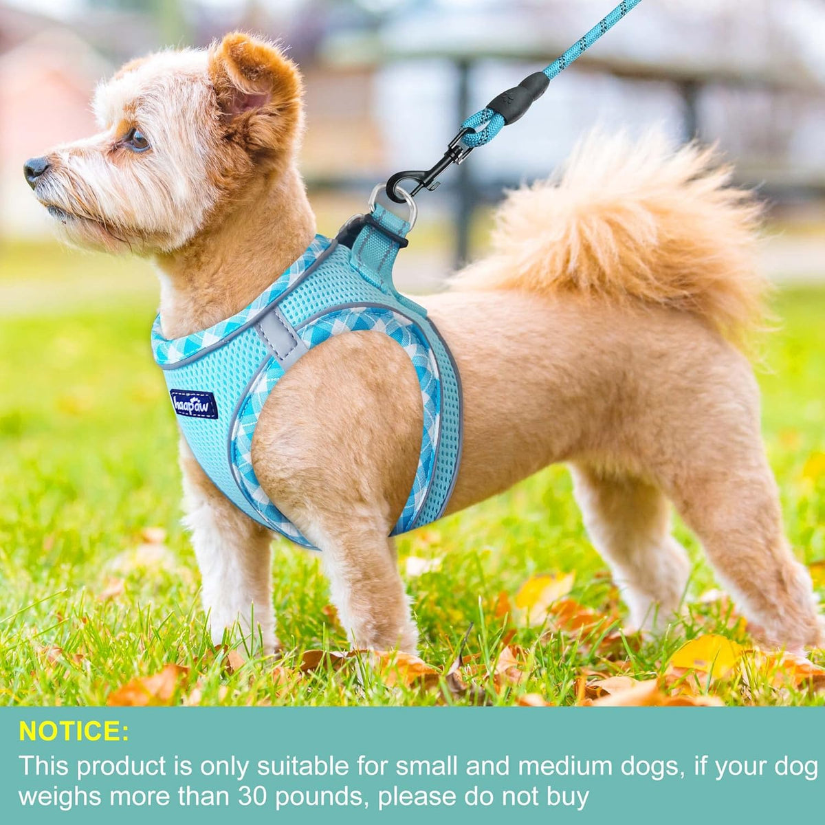 haapaw Dog Harness with Leash Set, No Pull Adjustable Reflective Step-in Puppy Harness with