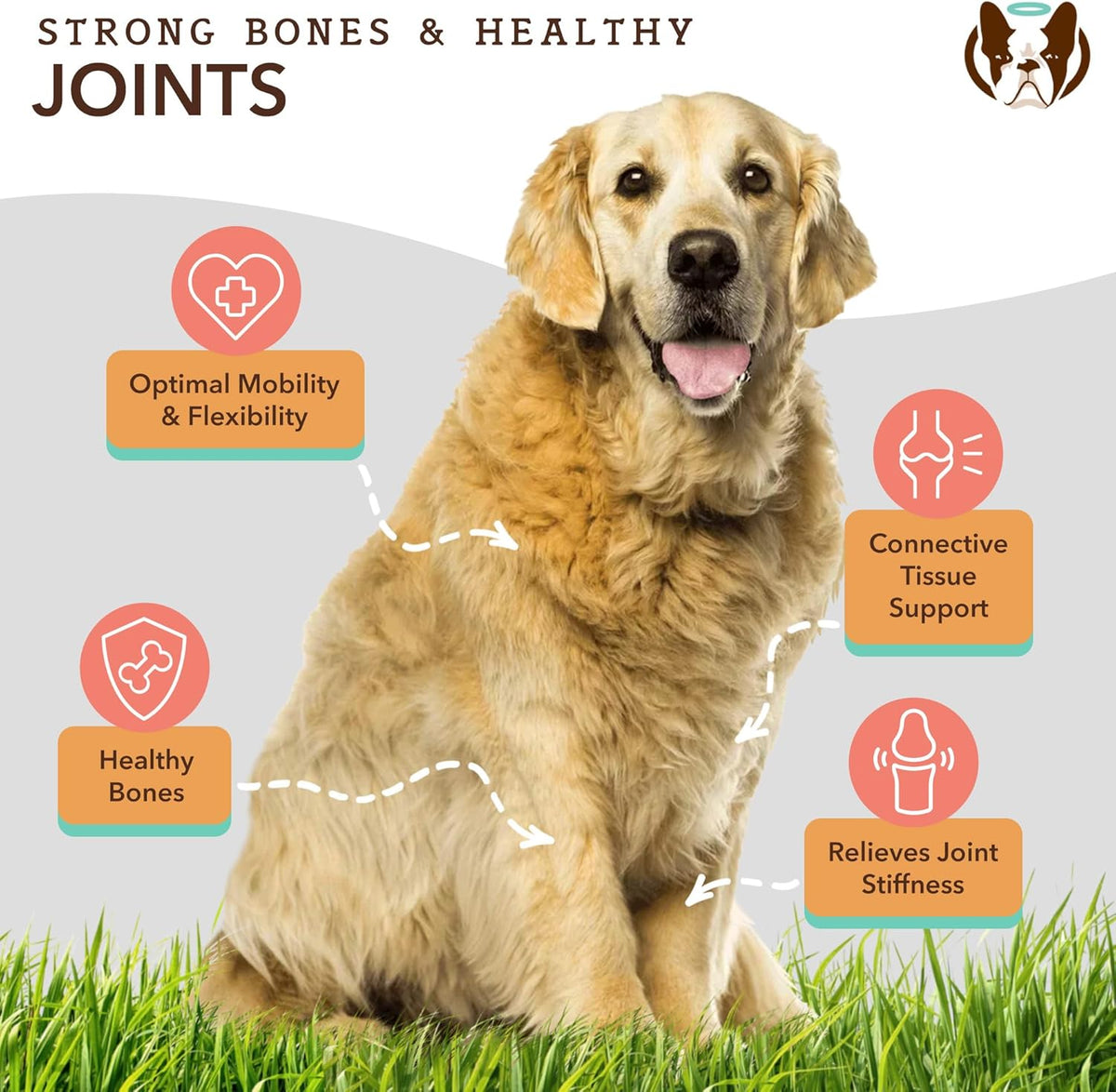 Natural Dog Company Healthy Joints, Skin and Coat Bundle for Dogs, Includes (1) Bottle Natural Dog