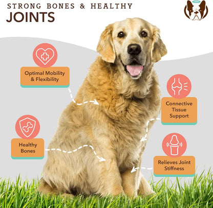 Natural Dog Company Healthy Joints, Skin and Coat Bundle for Dogs, Includes (1) Bottle Natural Dog