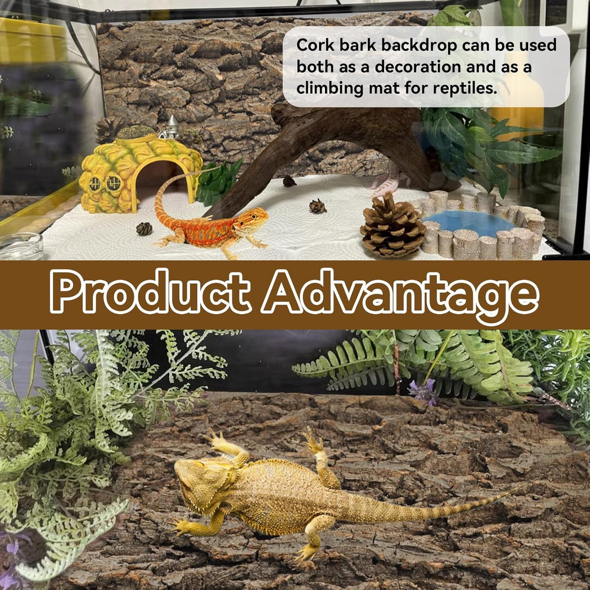2PCS Natural Cork Terrarium Background,11.81 x 11.81 Inch Reptile Bark Background 3D Bearded Dragon