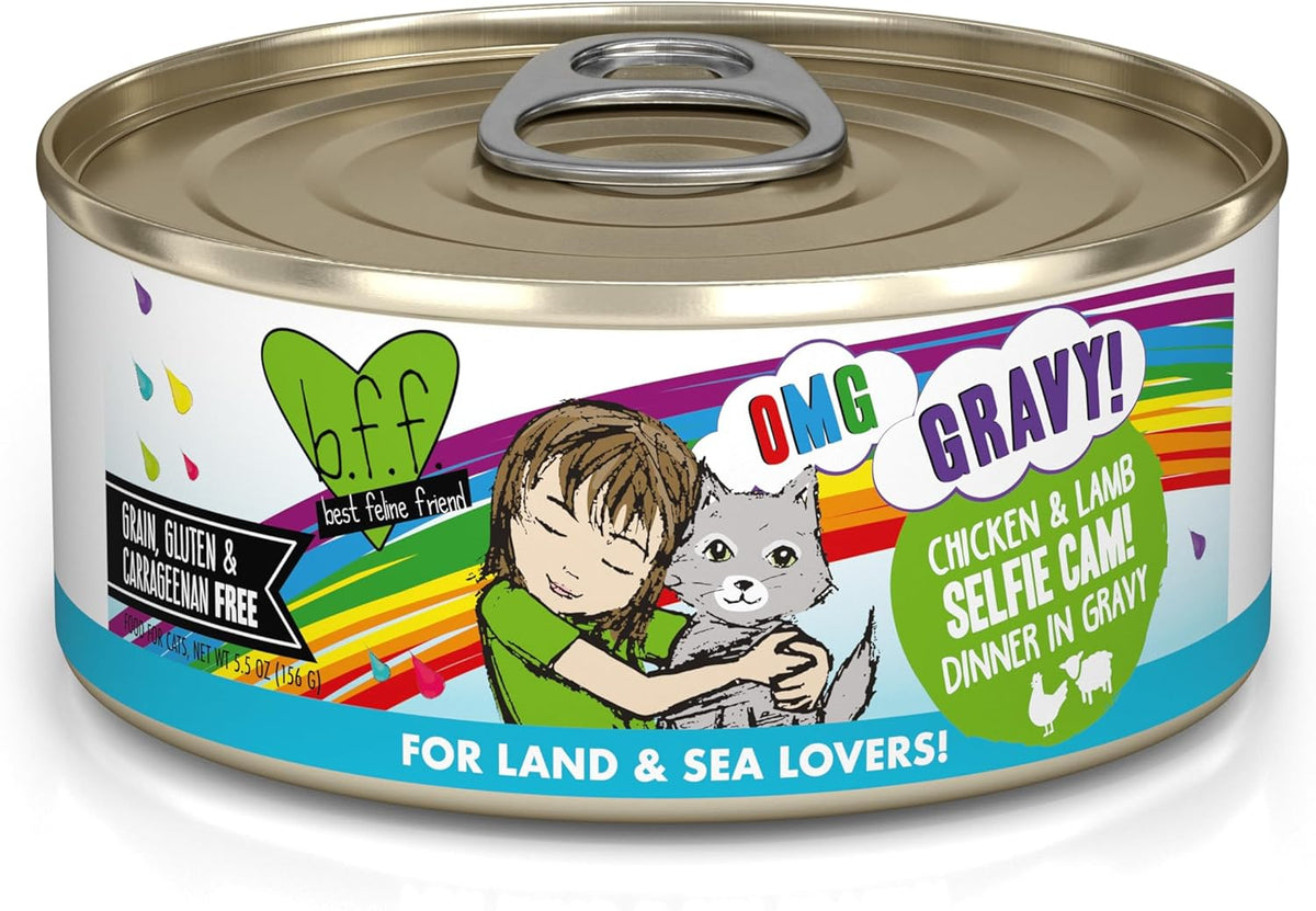 Weruva B.F.F. OMG - Best Feline Friend Oh My Gravy!, Selfie Cam! with Chicken & Lamb in Gravy Cat
