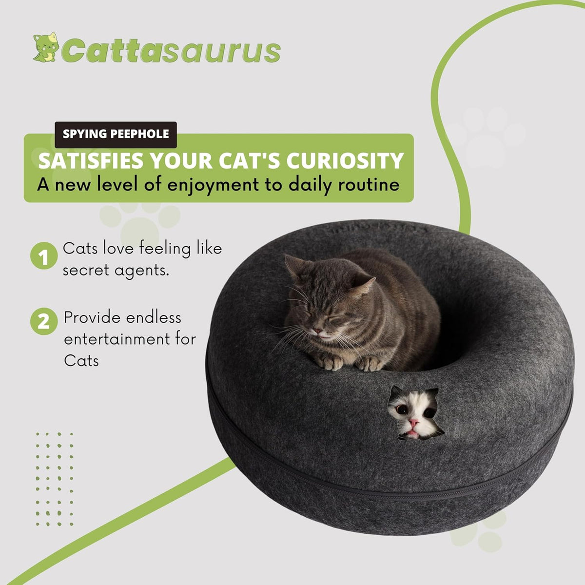 CATTASAURUS Peekaboo Cat Cave for Multiple & Large Cats Up to 30-45 Lbs, Scratch Detachable &