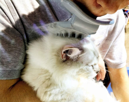 Cat Brush Shedding Grooming, Soft Massage Cat Tongue Brush, Licking Your Cat Like a Mama Cat to