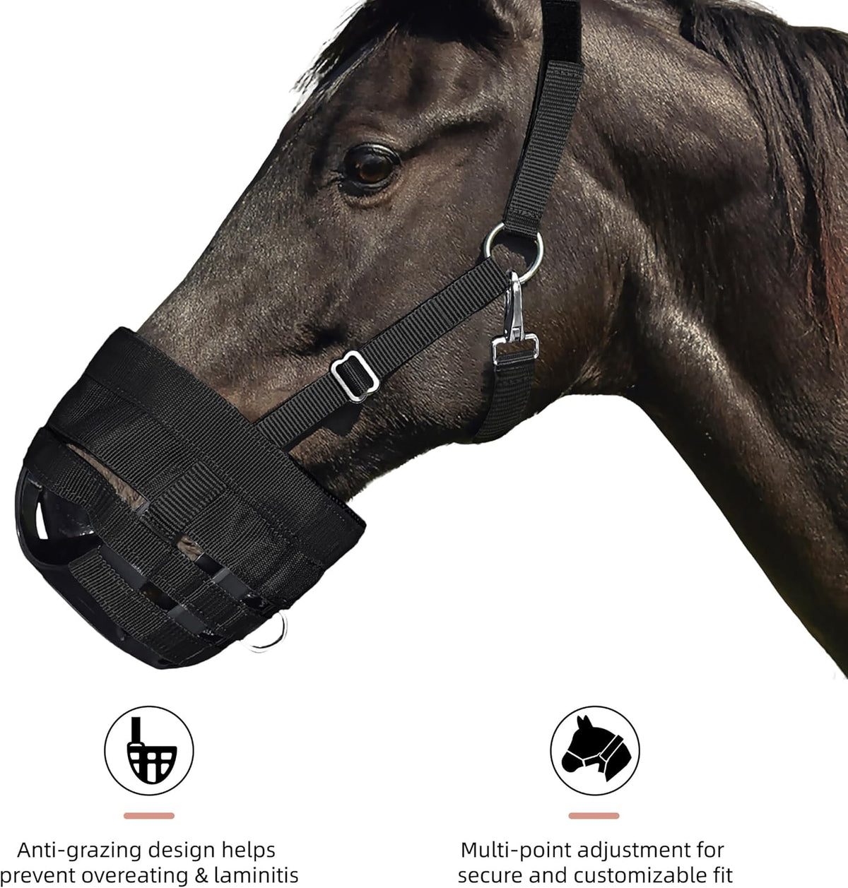 BARN & STABLE Horse Grazing Muzzle Halter for Easy Breathe, Comfortable Professional Horse Muzzle