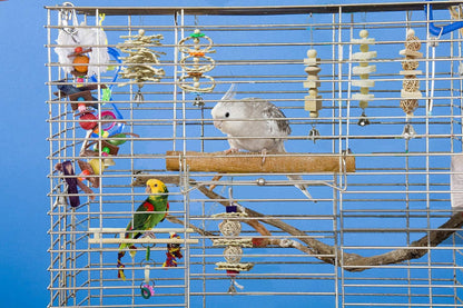 BWOGUE 7 Pack Bird Parrot Toys - Natural Wood Chewing, Climbing, Hanging & Hammock Toys for Small