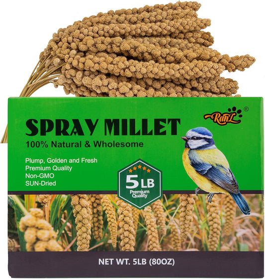RANZ 5LBS Millet Spray for Birds, GMO-Free, Sun Dried Spray Millet, Original Bird Treats &