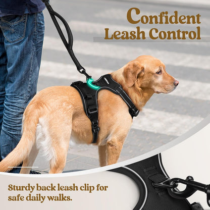 rabbitgoo Dog Harness No Pull with 2 Leash Clips, Adjustable Soft Padded, Reflective Oxford No