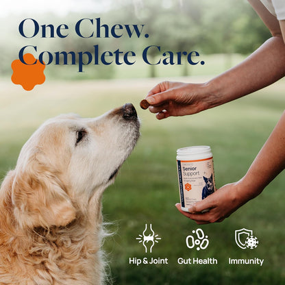 Veterinary Formula Smart Vitality Senior Support Dog Supplements 60ct – Senior Dog Vitamins to Help