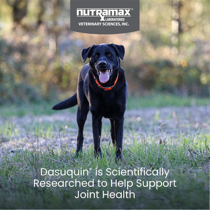 Nutramax Laboratories Dasuquin Joint Health Supplement for Large Dogs - With Glucosamine