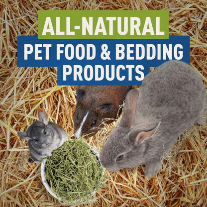 Blue Mountain Hay | Organic Bedding Straw (10 lb) | Natural Pet Bedding & Insulation for Rabbits