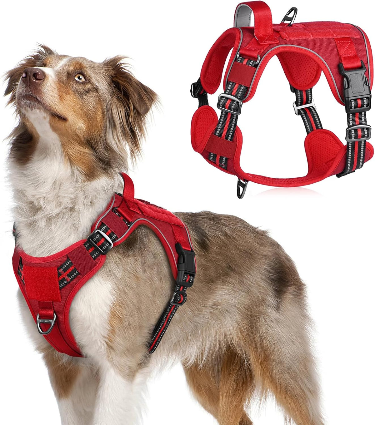 rabbitgoo Tactical Dog Harness Medium Sized Dog, No Pull Military Service Vest with Handle & Molle