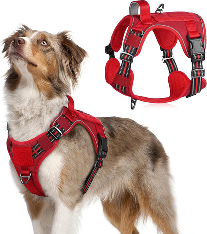 rabbitgoo Tactical Dog Harness Medium Sized Dog, No Pull Military Service Vest with Handle & Molle