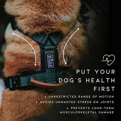 MADE TO ROAM Premium Explorer Harness - Y-Shaped Dog Harness with Adjustable Durable Nylon, Soft