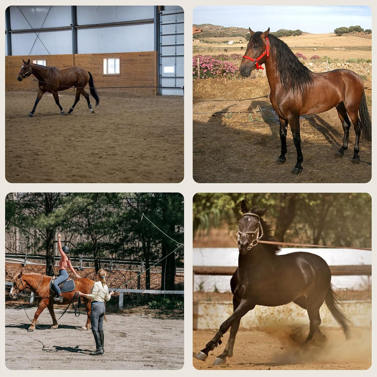 Lunge Line Polyester Cotton Lunge Line 25 Ft with EVA Stop Equine Lunge Line for Horses with Swivel
