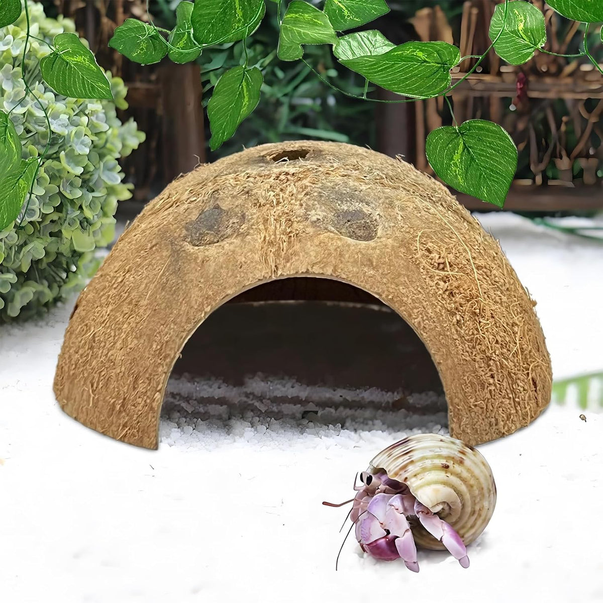 Hamiledyi 7 Pcs Reptile Hideouts Natural Coconut Shells Hut Leopard Gecko Tank Accessories for