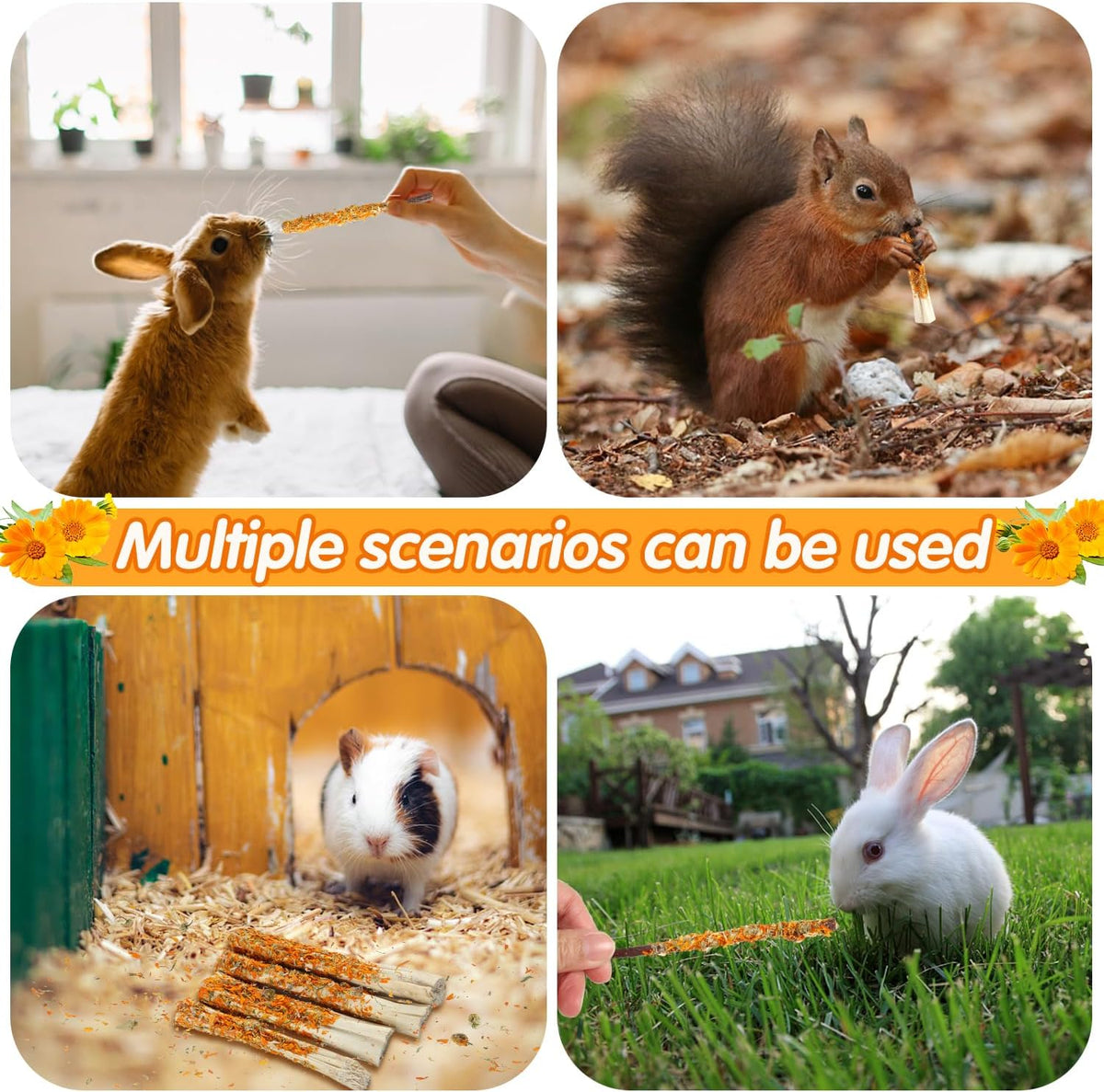 Apple Sticks for Rabbits, Natural Bunny Chew Toys Wood Treats Food for Small Animals,Hamsters