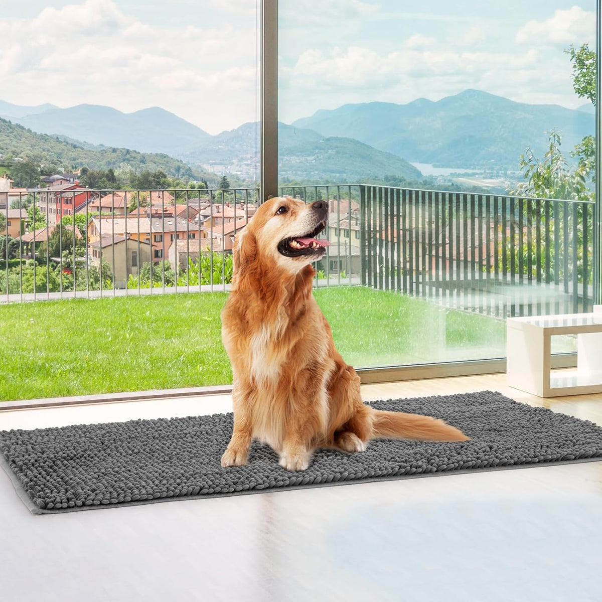 Absorbent Dog Door Mat for Muddy Paws, 72" x 24" Chenille Indoor Mats for Entryway, Trap Dirt Front