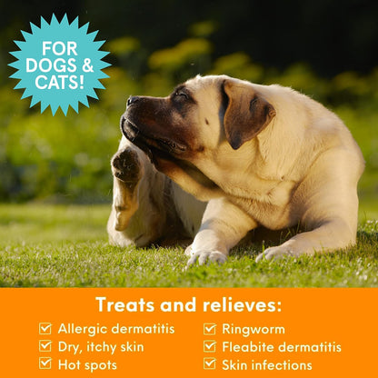 Nootie Medicated Pet Shampoo, Chlorhexidine Dog Shampoo for Itch Relief, Sold in over 5,000 Vet