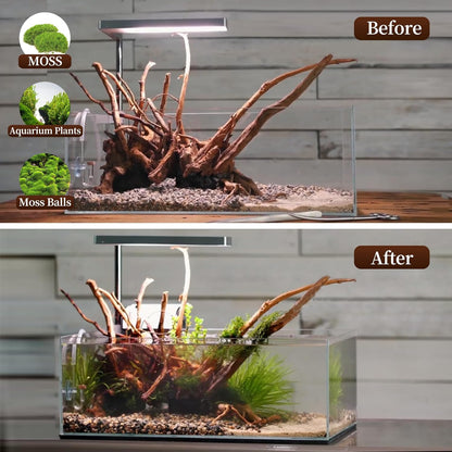 majoywoo Natural Driftwood for Aquarium Decor Fish Tank Decorations, Assorted Spider Wood Branch