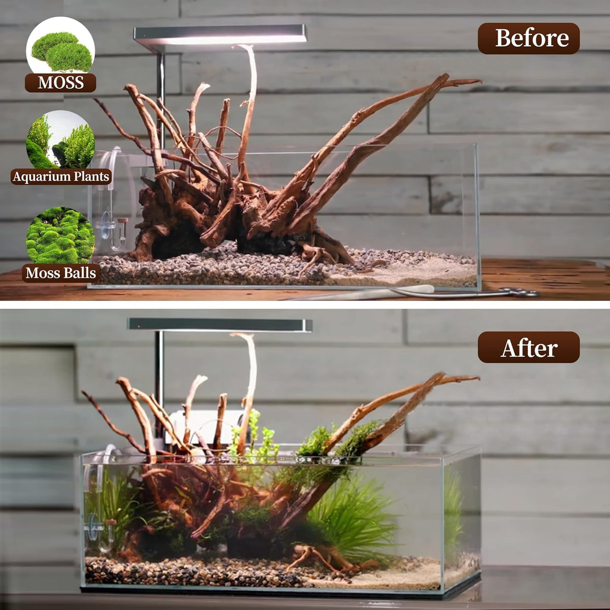 majoywoo Natural Large Driftwood for Aquarium Decor Reptile Decor, Assorted Spider Wood Branch