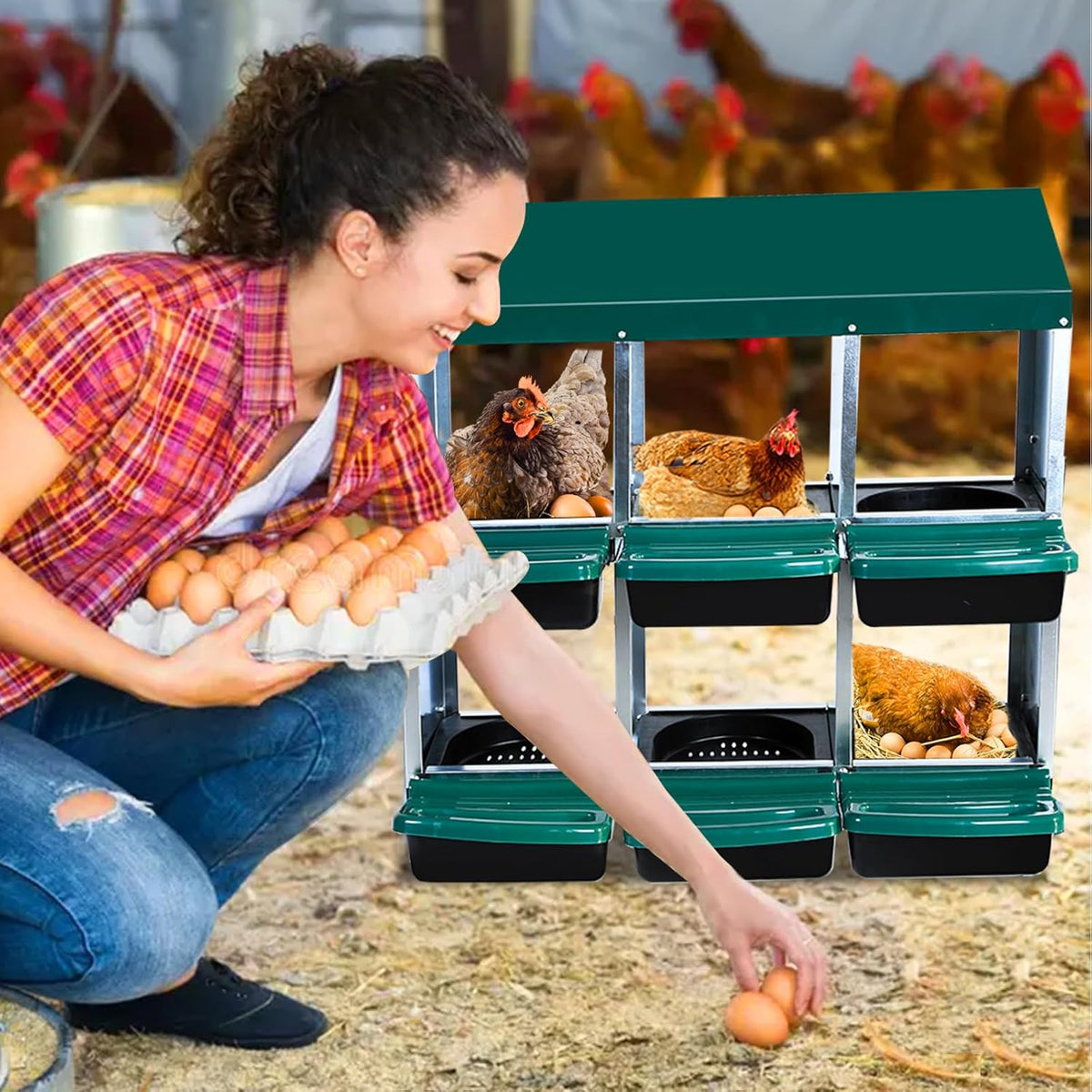 Chicken Nesting Box, 6 Hole 2 Layer Hen Nest Boxes, Roll Away Eggs Laying Boxes,Cleanable Pull Out