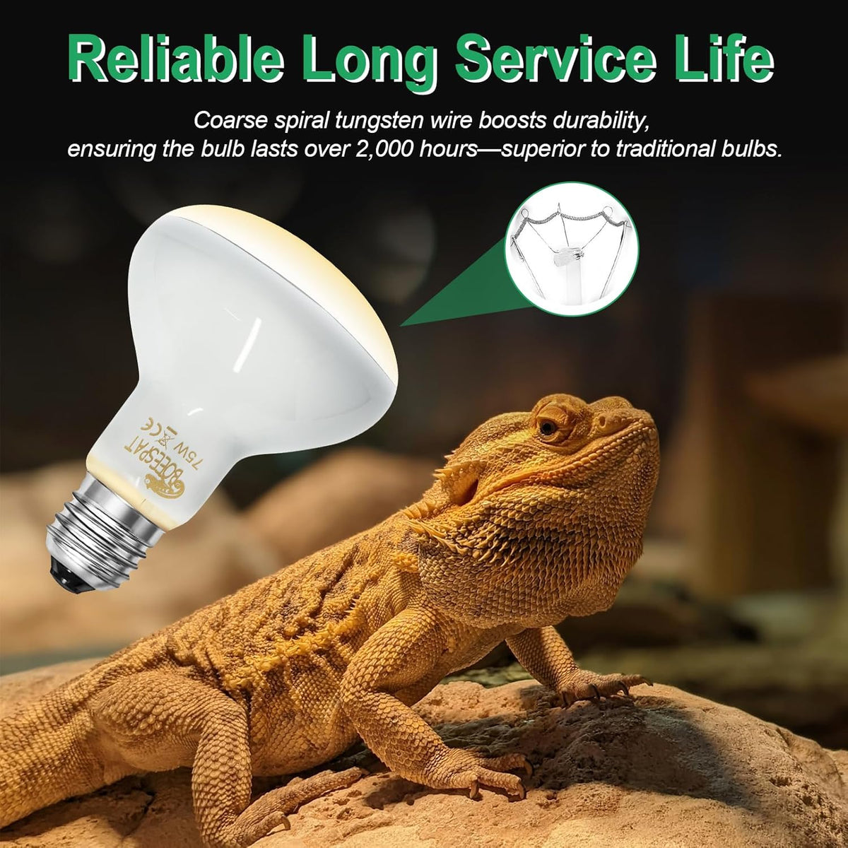 Pack of 2 Reptile Basking Light Bulbs - Incandescent 75W Simulated Sunlight UVA Heat Bulbs for