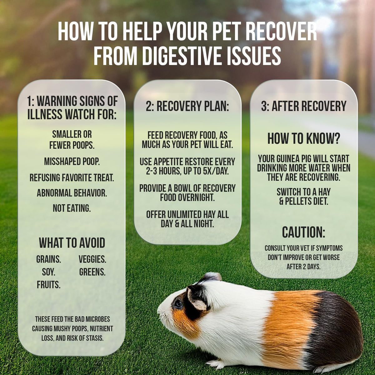 Sherwood Pet Health Guinea Pig Timothy Recovery Food (800g). Grain Free, Soy Free. Great Taste That