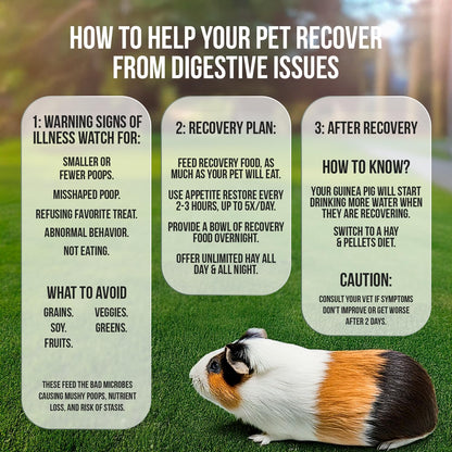 Sherwood Pet Health Guinea Pig Emergency Kit (Small) with Timothy Recovery Food and Appetite