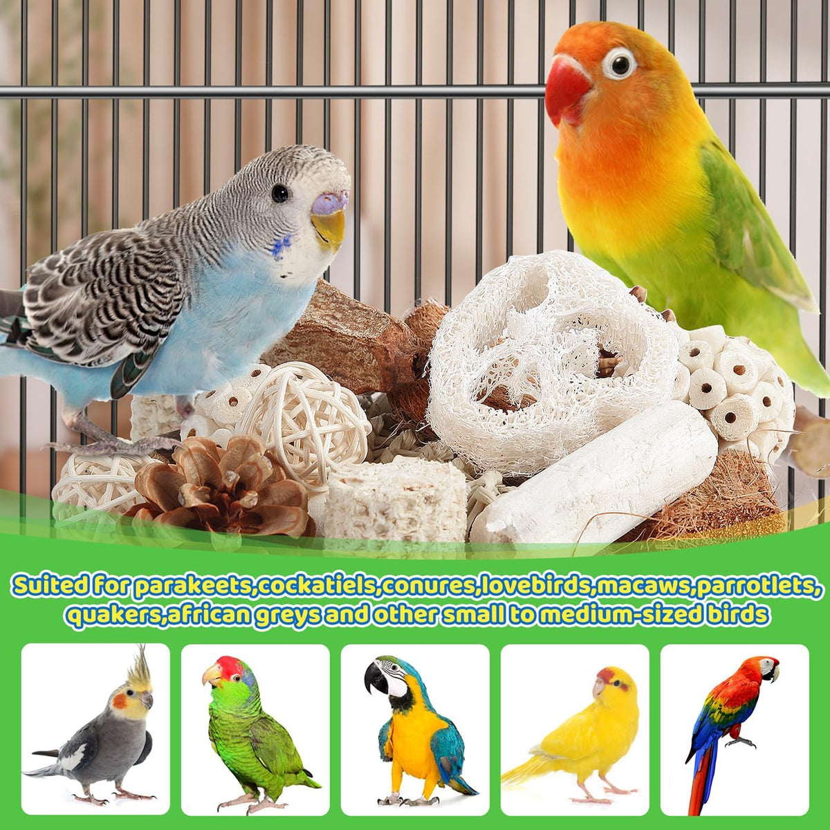 Kyouki Bird Toys Parrot Toys Natural Bird Foraging Box Foot for Parakeets,Cockatiels,Conures,Love