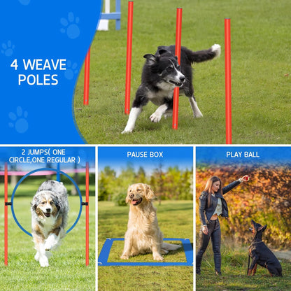 Polar Aurora Dog Agility Equipment, Dog Obstacle Courses Backyard - Pet Outdoor Games w/Adjustable