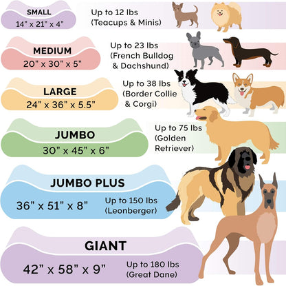 Furhaven Orthopedic Dog Bed for Large Dogs w/ Removable Washable Cover, For Dogs Up to 150 lbs