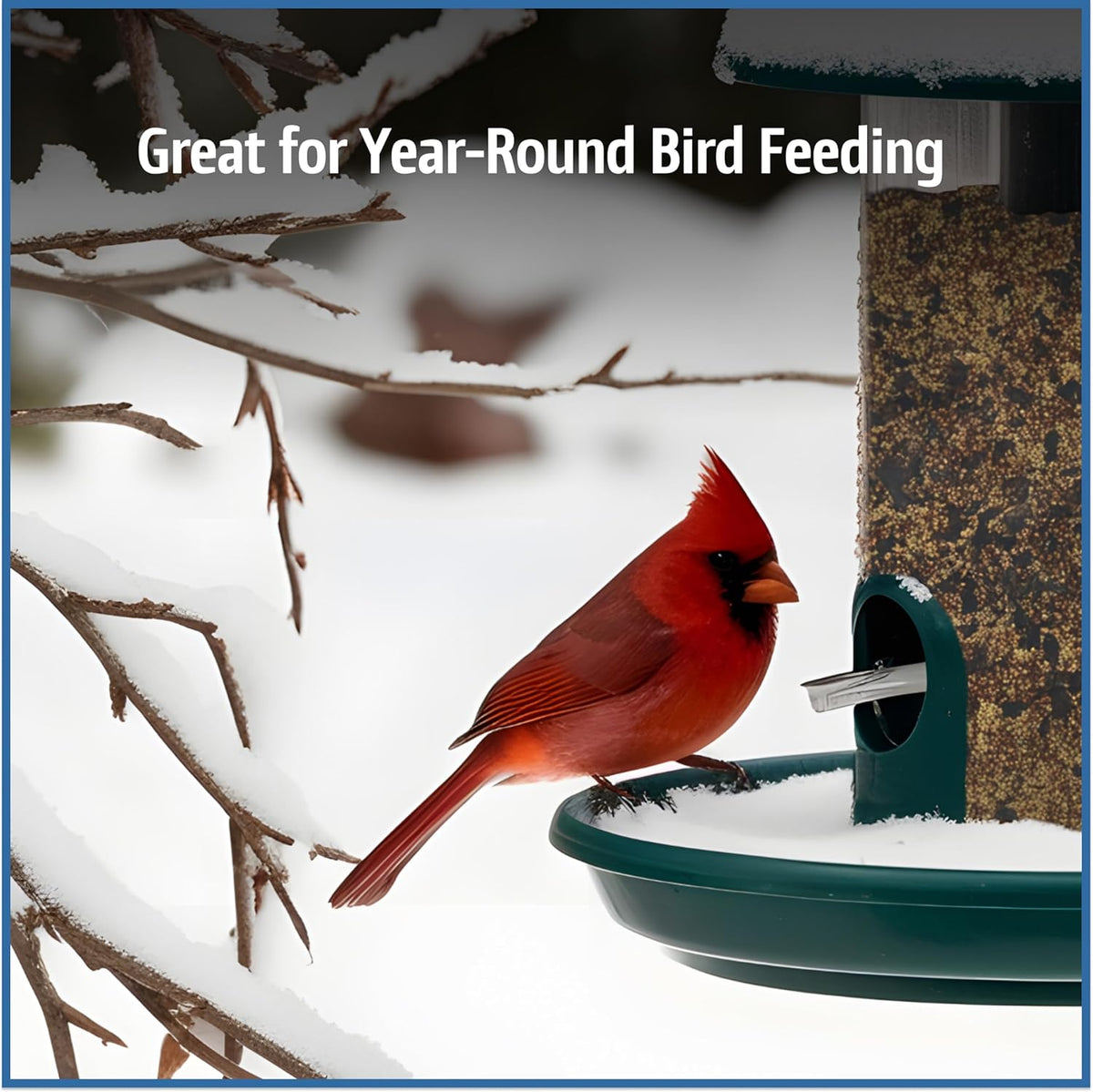 Pennington Wild Bird Food, Wild Bird Seed for Outside Feeders, Great to Feed Year-Round, 22.5-lb.
