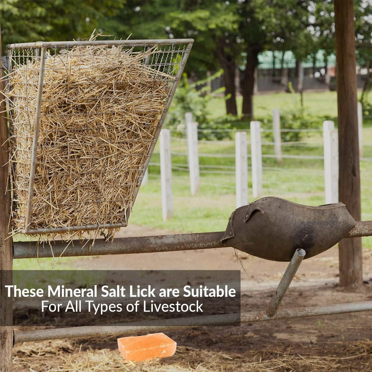 Licking Salt for Horse, 100% Pure Himalayan Pink Salt Chunks, 6 LBS, Animal Feed Salt Chunks, Horse