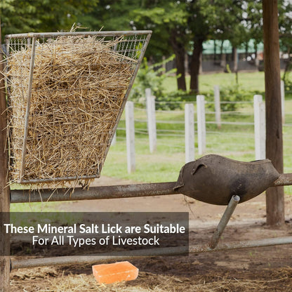 Licking Salt for Horse, 100% Pure Himalayan Pink Salt Chunks, 6 LBS, Animal Feed Salt Chunks, Horse