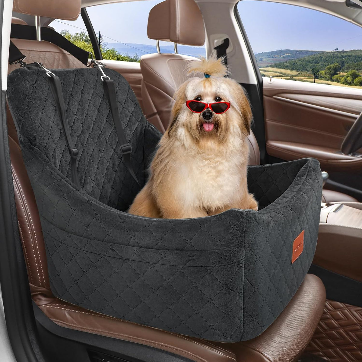 Dog Car Seat for Dogs Up to 35lbs,Fully Detachable and Washable,Memory Foam Covered Soft