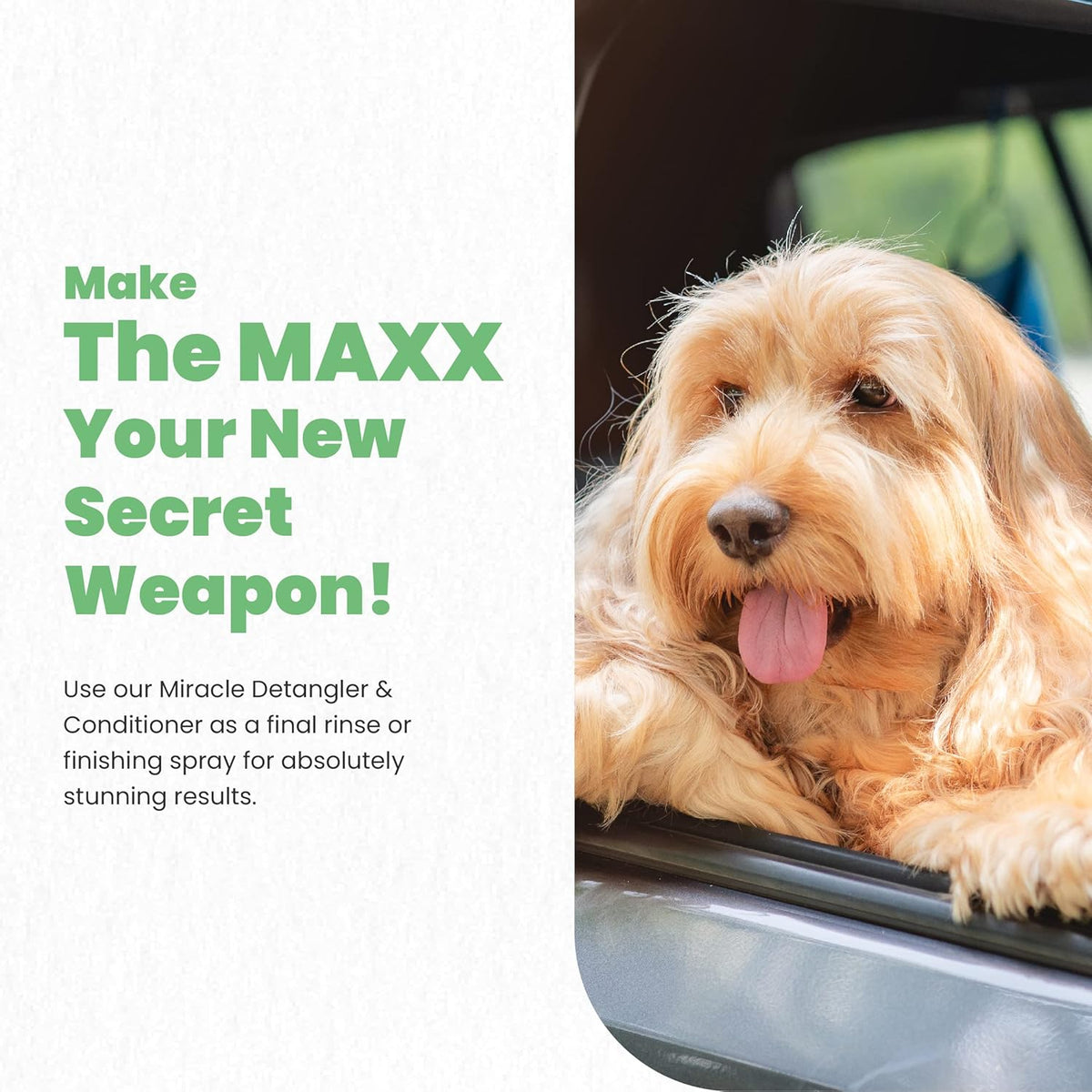 Best Shot The MAXX Ultra Concentrate Miracle Detangler and Conditioner, Moisturizing Conditioner