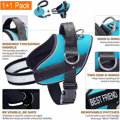 Haapaw Essential Dog Harness, No Pull Pet Vest with 3 Leash Clips, No Choke, Reflective, Adjustable