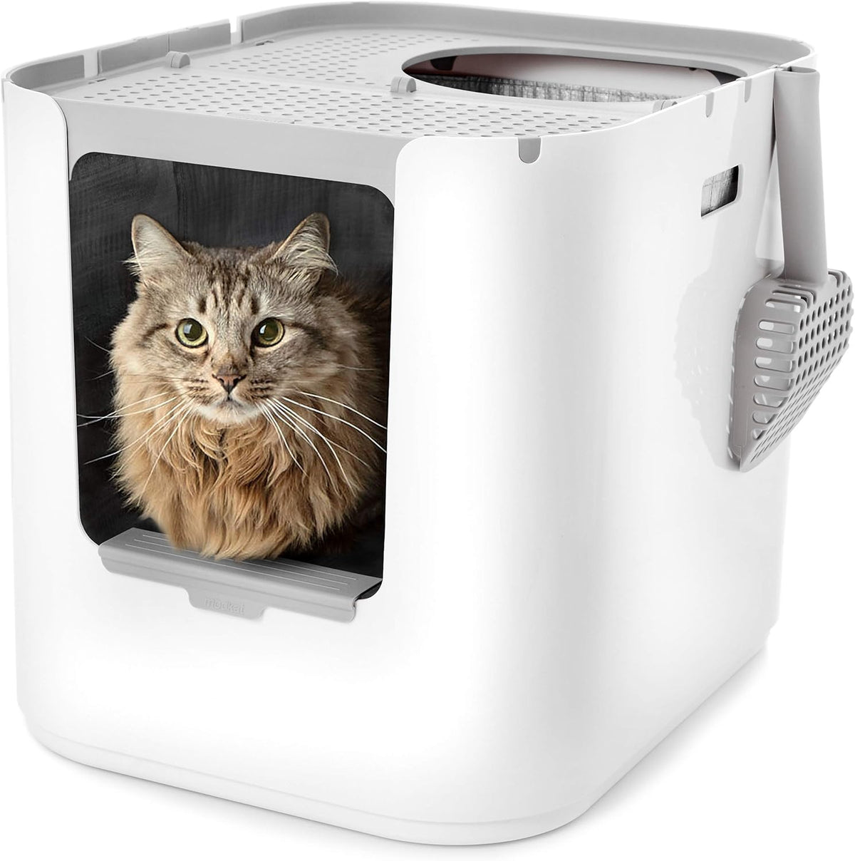 Modkat® XL Litter Box, Top or Front-Entry Configurable, Full Height Seamless Base, Reusable Litter