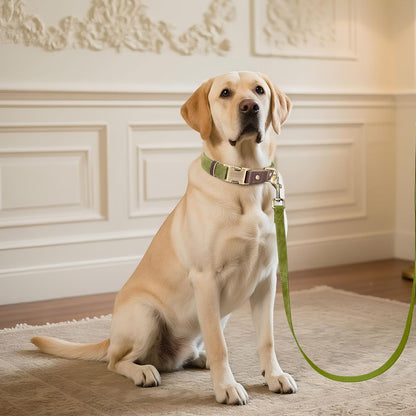 Didog Soft PU Leather Dog Collar for Large Dogs,Classic Adjustable Dog Collars with Quick Release