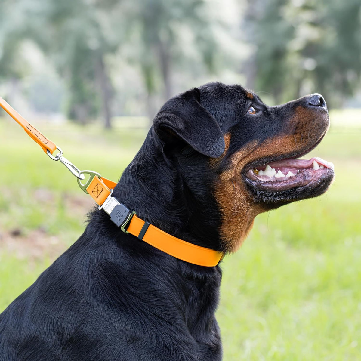 Dogline Biothane Waterproof Dog Collar with Herm Sprenger Black Stainless Steel Quick Release