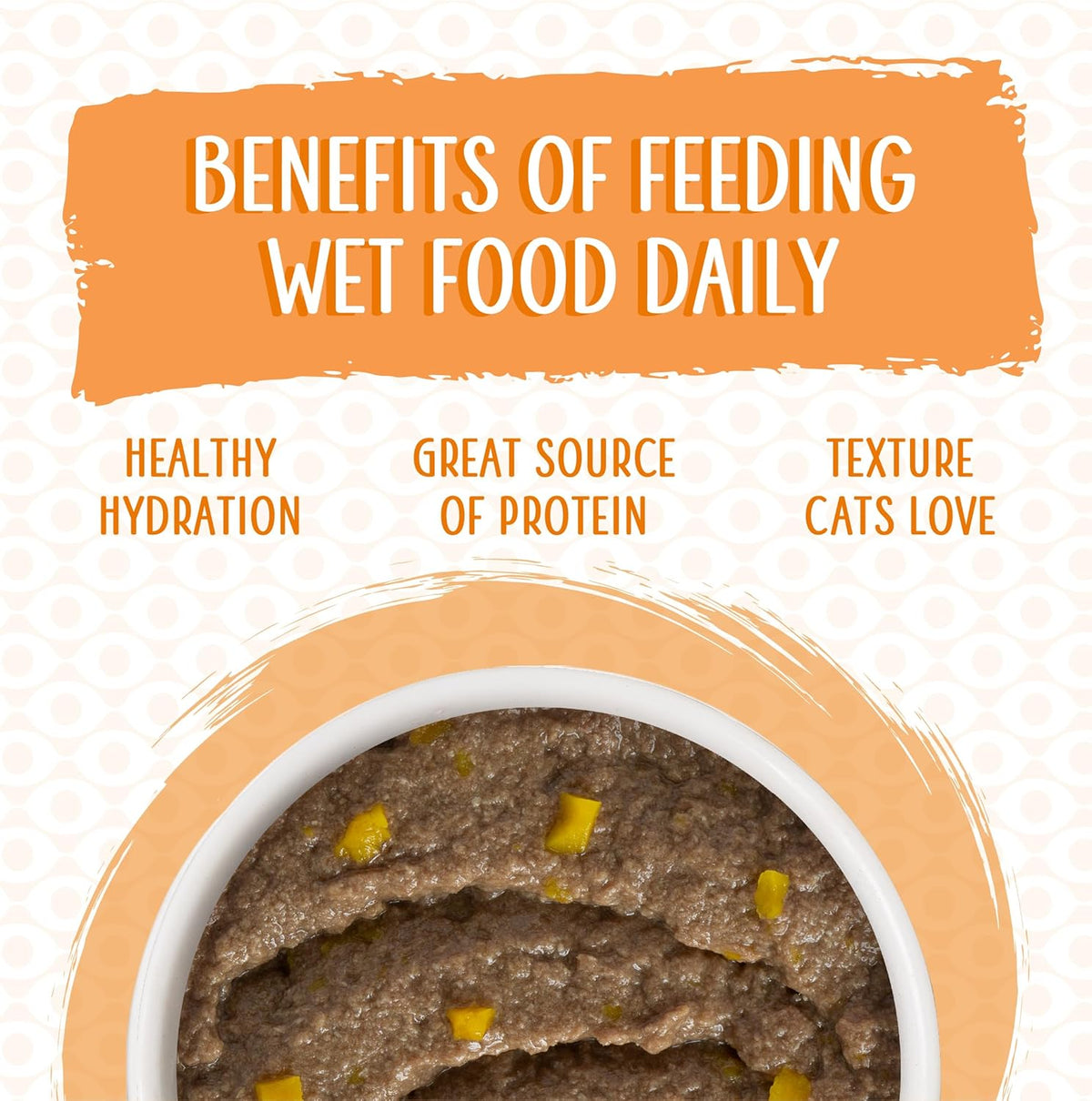 Weruva Wet Cat Food, Who Wants to be a Meowionaire with Chicken and Pumpkin Pate, 3oz Can, Pack of