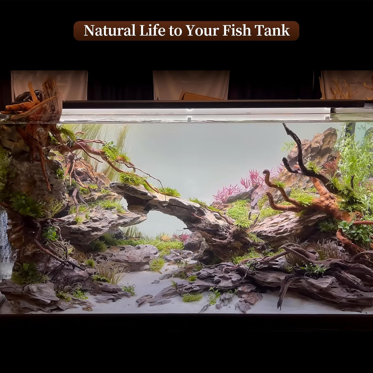 majoywoo Natural Driftwood for Aquarium Decor Fish Tank Decorations, Assorted Spider Wood Branch