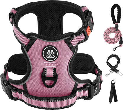 IVY&LANE No Pull Dog Harness for Small Dogs, Dog Vest Harness with Leash, Safety Belt and Storage